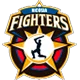 Nicosia Xi Fighters Cc