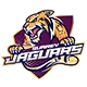 Surrey Jaguars