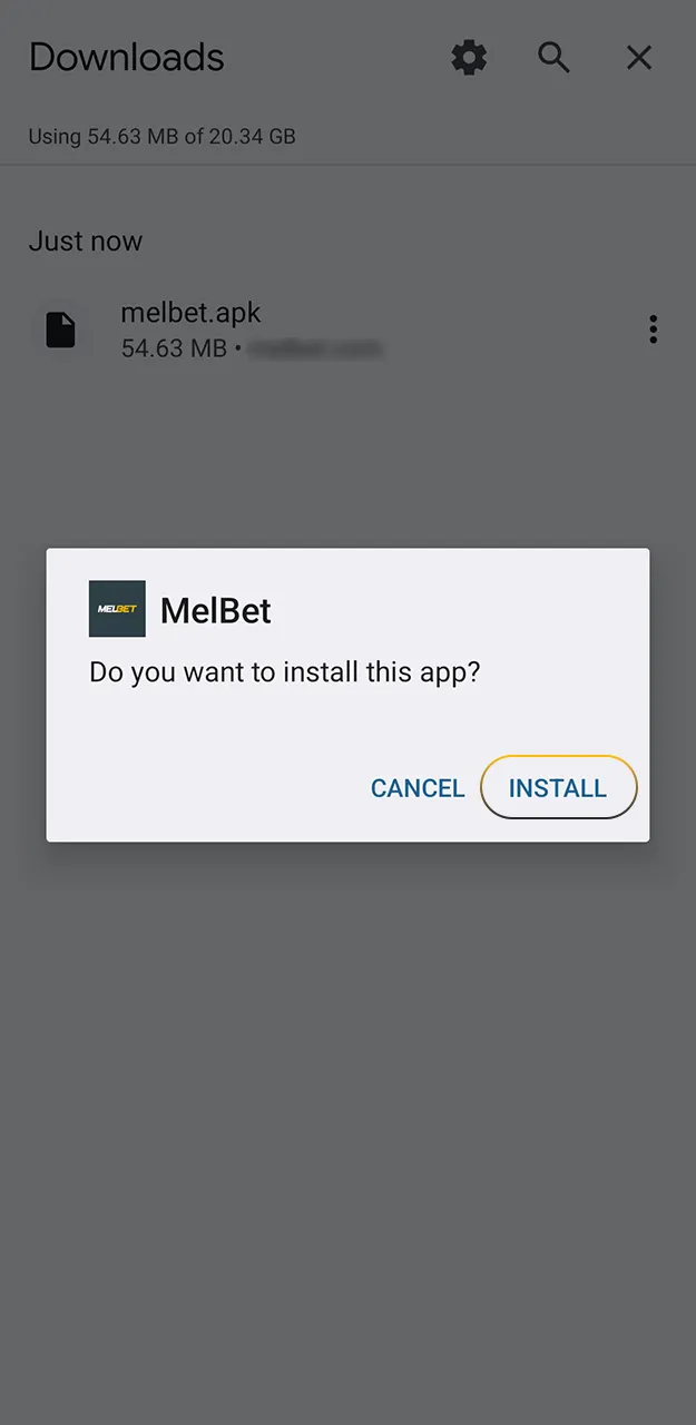 Complete the installation and open the Melbet app to place your first bet.